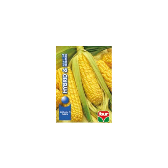 Four: Sweet Corn F1 Solare